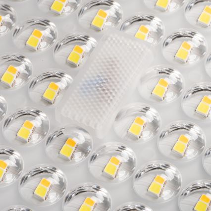 LED gatulampa PARCOLI LED/30/40/50W/230V 3000/4000/6500K IP66 grå