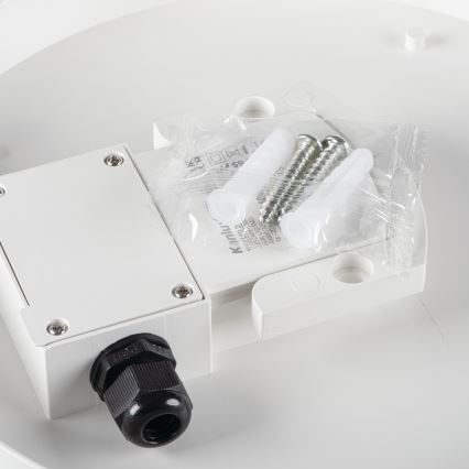 LED arbetsvägglampa IPER LED/10W/230V IK10 IP65 rund vit