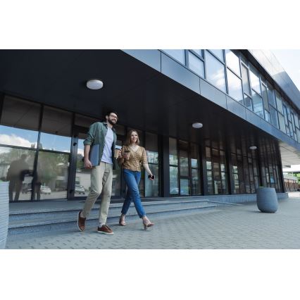 LED arbetsvägglampa IPER LED/35W/230V IK10 IP65 rund vit