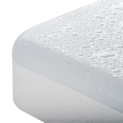 LED arbetsvägglampa IPER LED/26W/230V IK10 IP65 vinklat vit