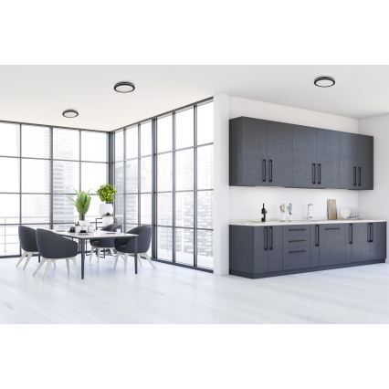 LED taklampa för utomhusbruk BENO ECO LED/20W/230V 3000/4000/6500K diameter 20 cm IP65 svart