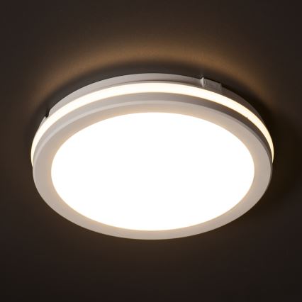 LED taklampa för utomhusbruk BENO ECO LED/30W/230V 3000/4000/6500K diameter 30 cm IP65 vit