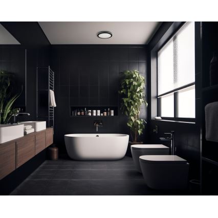 LED taklampa för utomhusbruk BENO ECO LED/30W/230V 3000/4000/6500K diameter 30 cm IP65 svart