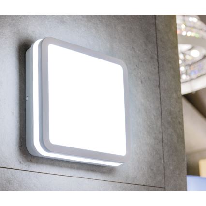 LED taklampa för utomhusbruk med rörelsedetektor BENO LED/12/18W/230V 3000/3500/4000K IP65 vit vinklat