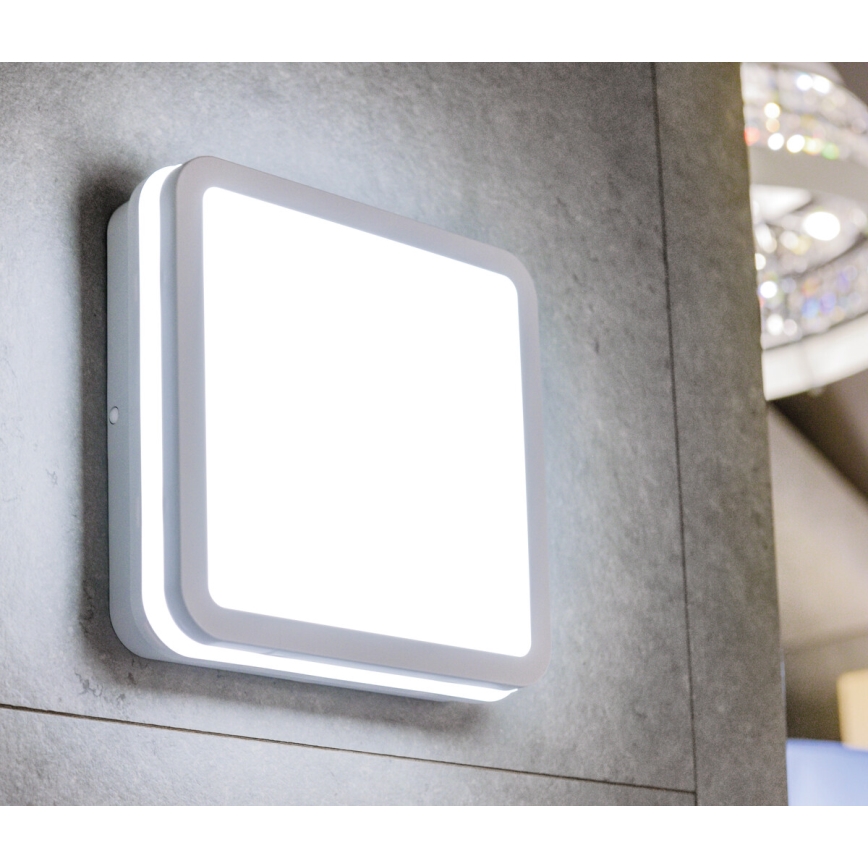 LED Utomhustaklampa BENO LED/12/18W/230V 3000/3500/4000K IP65 vit fyrkantig