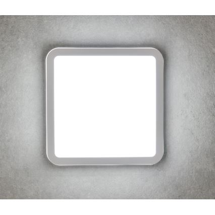 LED Utomhustaklampa BENO LED/24/30W/230V 3000/3500/4000K IP65 vit fyrkantig