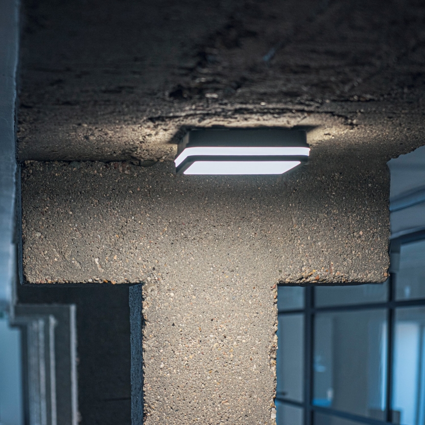 LED Utomhustaklampa BENO LED/12/18W/230V 3000/3500/4000K IP65 antracit fyrkantig