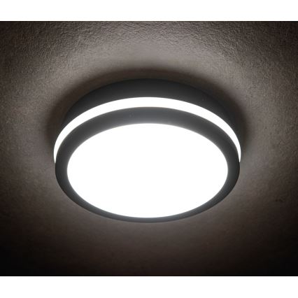 LED Utomhustaklampa BENO LED/12/18W/230V 3000/3500/4000K IP65 antracit rund