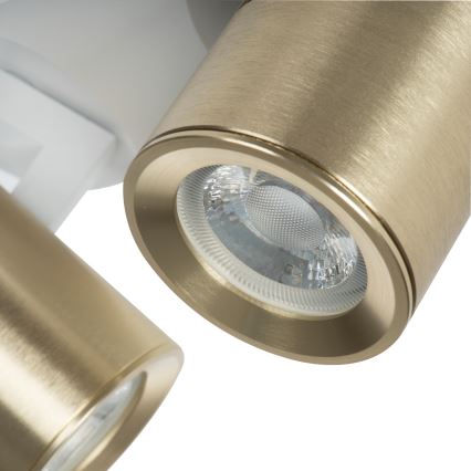 Spotlight LAURIN 2xGU10/10W/230V mässing/vit