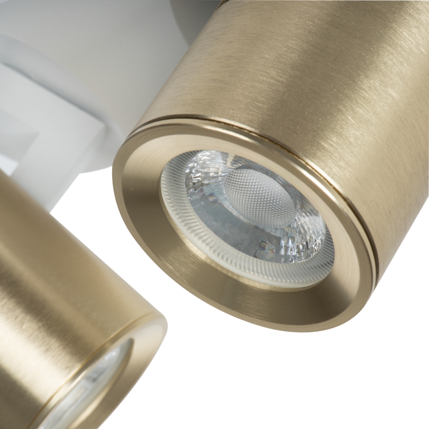 Spotlight LAURIN 3xGU10/10W/230V mässing/vit