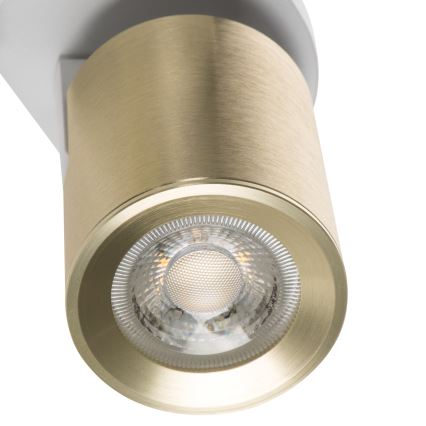 Spotlight LAURIN 3xGU10/10W/230V mässing/vit