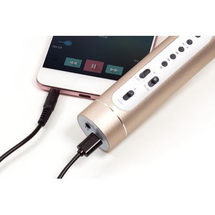 Karaokemikrofon 6W/5V 1500 mAh Bluetooth, guldfärgad