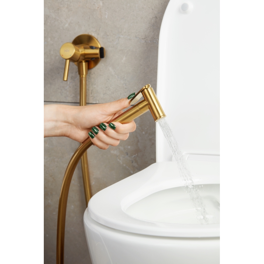 KFA Armatura 5039-512-31 - Bidéblandare med dusch för dold installation MOZA mark guld