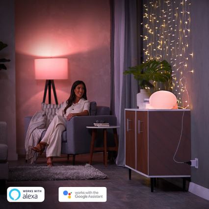 KIT 2x Smart kontakt Philips Hue Smart plug