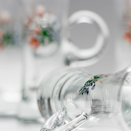 Kit 6x likörglas med handtag genomskinlig med bukettmotiv nr. 3