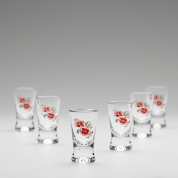 Kit 6x snappsglas genomskinlig med bukettmotiv nr. 2