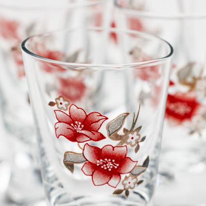 Kit 6x snappsglas genomskinlig med bukettmotiv nr. 2