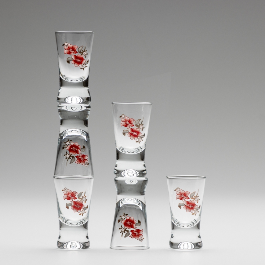 Kit 6x snappsglas genomskinlig med bukettmotiv nr. 2