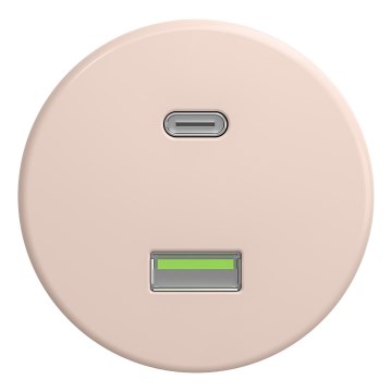 Kliklap - Retro USB-uttag A+C, ramfritt, gammalrosa