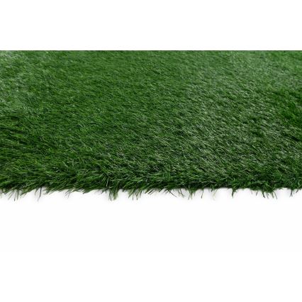 Konstgräs ALLGREEN 100x300 cm 30 mm grön