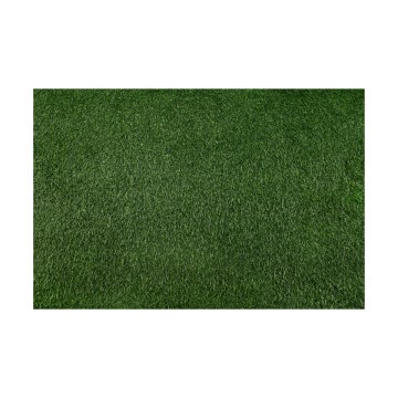 Konstgräs BELLIN 200x400 cm, 18 mm, grön