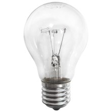 Kraftfull glödlampa E27/100W/230V 2700K