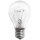 Kraftfull glödlampa E27/100W/230V 2700K