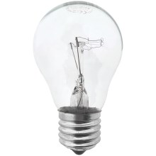 Kraftfull glödlampa E27/60W/230V 2700K
