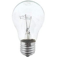 Kraftfull glödlampa E27/75W/230V 2700K