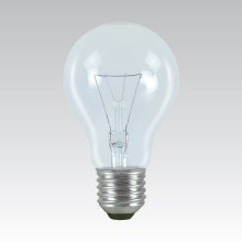 Kraftig specialistglödlampa  E27/100W/24V