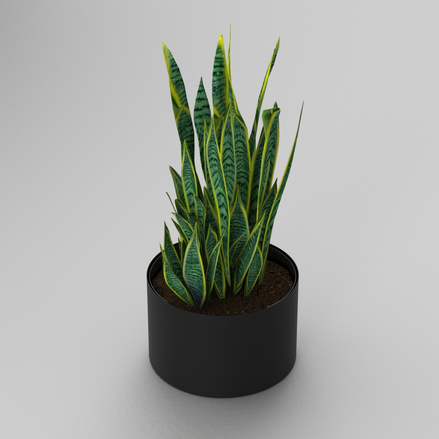 Květináč 11x17 cm svart