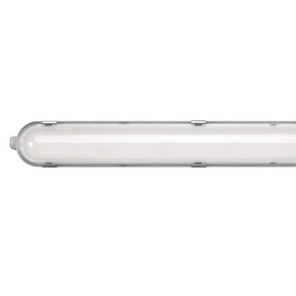 LED arbetslampa  LED/36W/230V IP66 4000K