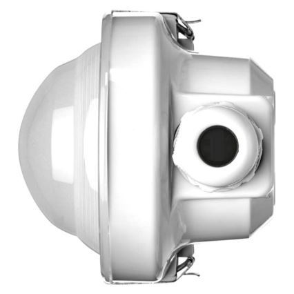 LED arbetslampa  LED/36W/230V IP66 4000K