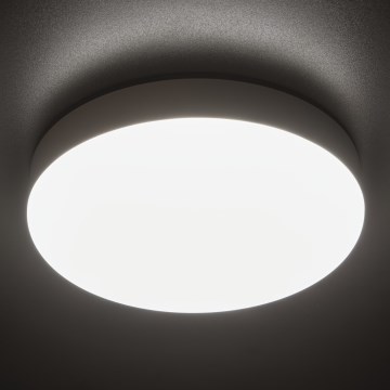 LED arbetsvägglampa IPER LED/19W/230V IK10 IP65 rund vit