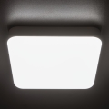 LED arbetsvägglampa IPER LED/35W/230V IK10 IP65 vinklat vit