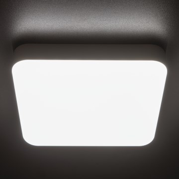 LED arbetsvägglampa med rörelsedetektor IPER LED/19W/230V IK10 IP65 vinklat vit