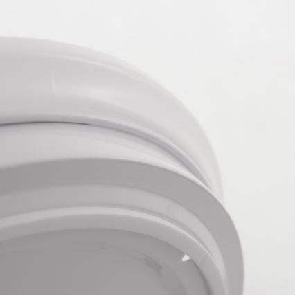 LED Badrumsbelysning tak ADAR LED/17W/230V IP44 4000K