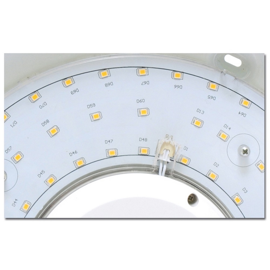 LED Badrumsbelysning tak VICTOR LED/25W/230V IP44