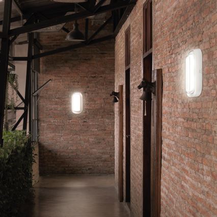 LED Badrumsvägglampa PASTILO LED/10W/230V 2700/4000/6000K IK10 IP54 vit oval