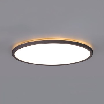LED Badrumsplafond NIVERA LED/18W/230V IP54 3000/4000/6000K Ø 30 cm svart