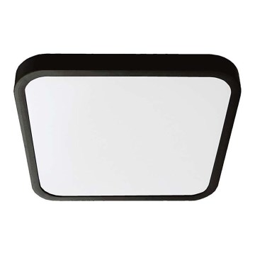 LED Badrumsplafond SAMSUNG CHIP LED/24W/230V IP44 6500K 29x29 cm svart