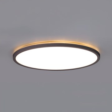 LED Badrumstaklampa NIVERA LED/32W/230V IP54 3000/4000/6000K Ø 42 cm svart