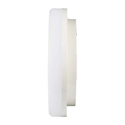 LED Badrumstaklampa SAMSUNG CHIP LED/15W/230V 20 cm 3000K IP44
