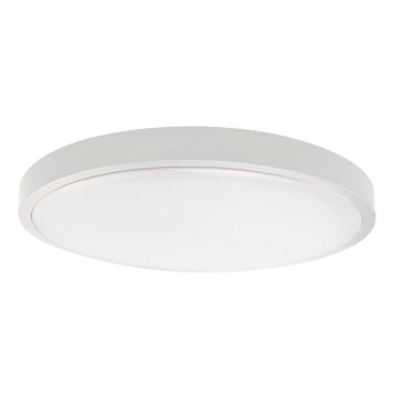 LED Badrumstaklampa SAMSUNG CHIP LED/24W/230V IP44 4000K Ø 29 cm vit