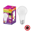 LED Bakteriedödande glödlampa  A60 E27/8,5W/230V 4000K - Osram