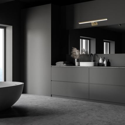 LED-belysning för badrumsspegel SHINE LED/13,8W/230V 60 cm IP44 mässing