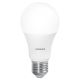 LED Dimbar antibakteriell glödlampa A60 E27/9W/230V Wi-Fi - Ledvance