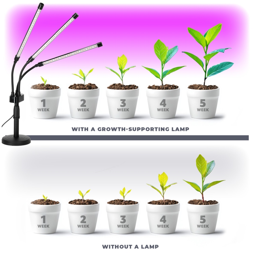 LED Dimbara flexibla bordslampa för växtodling VITARO 3xLED/10W/230V svart