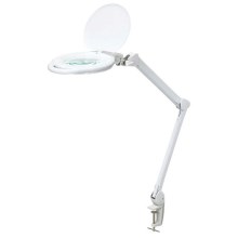 LED Dimbar bordslampa med förstoringsglas LED/10W/230V vit