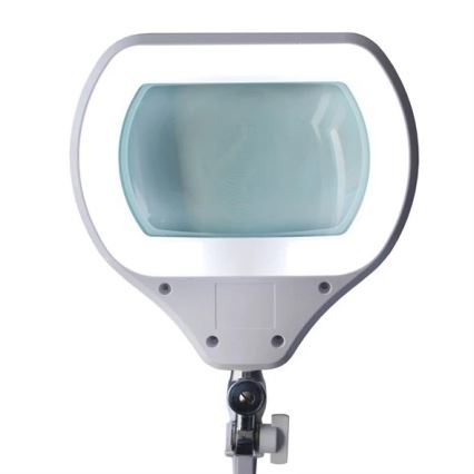 LED Dimbar bordslampa med förstoringsglas LED/12W/230V vit